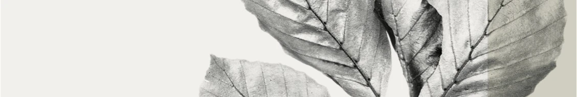 CIC (Switzerland) Hero Image