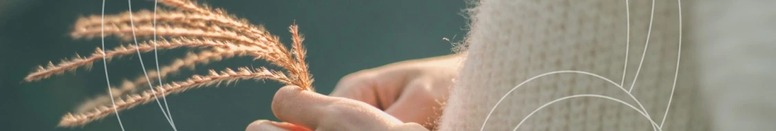 Junior Client Advisor- D&uuml;sseldorf (m|f|x) Hero Image