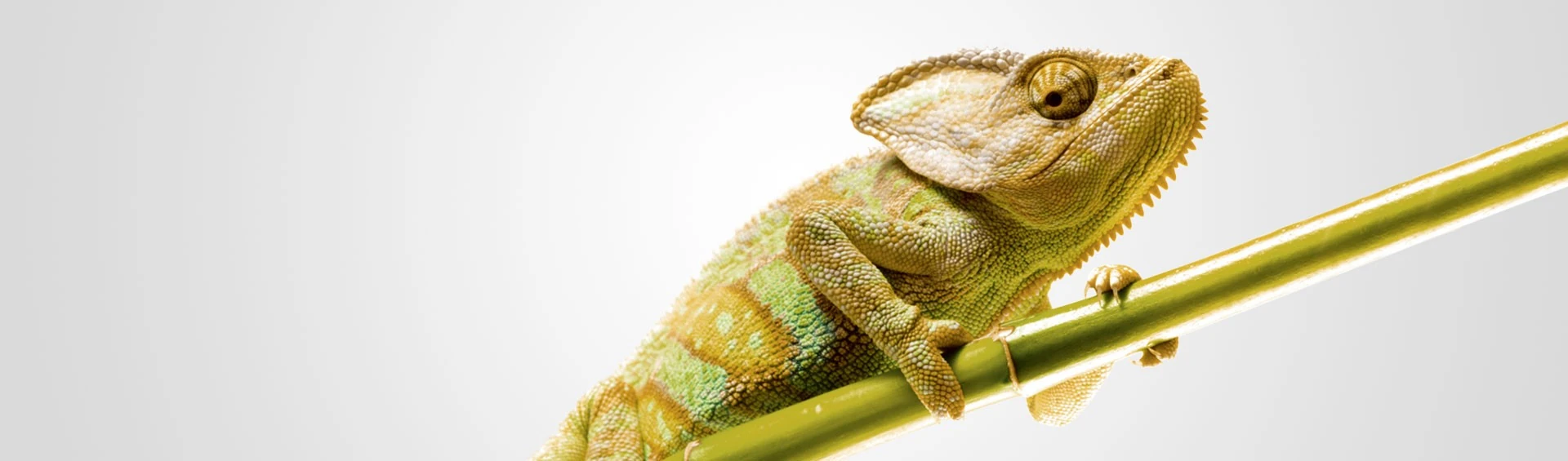 Senior Verm&ouml;gensverwalter (m|f|x) Hero Image