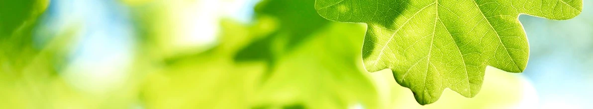 Senior Vice President, Asset Backed Finance (m|f|x) Hero Image